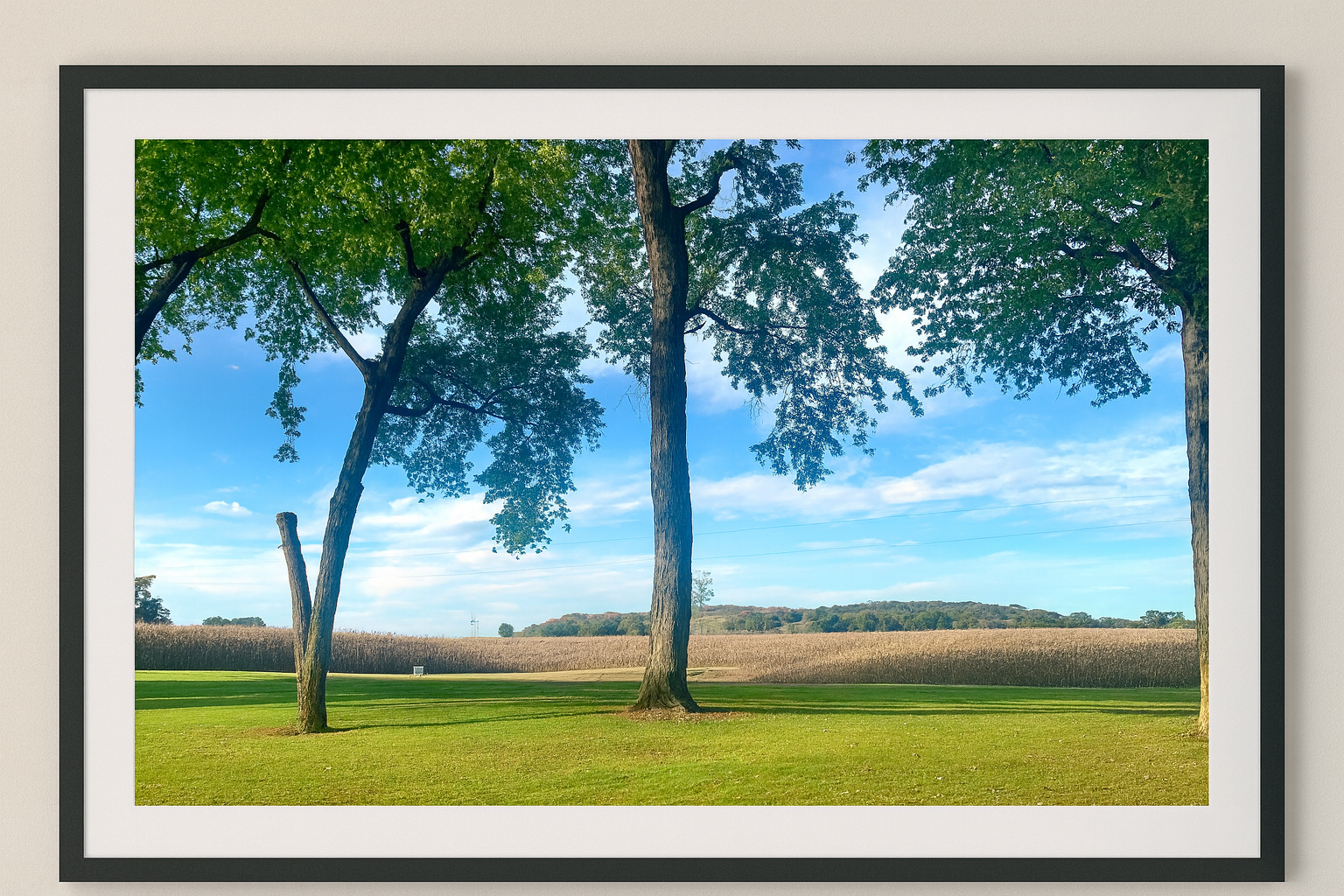 Let's Have Lunch Here