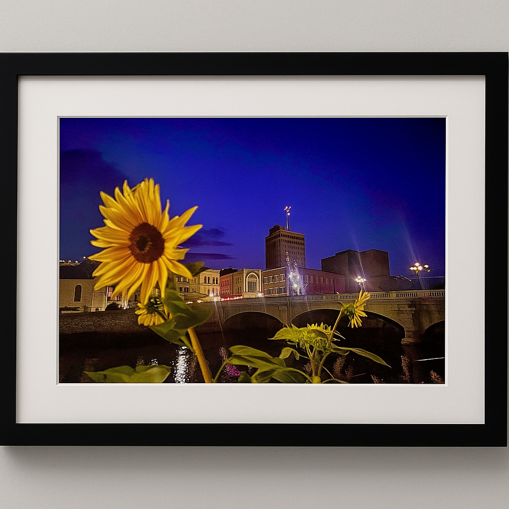 The Water Tower Place