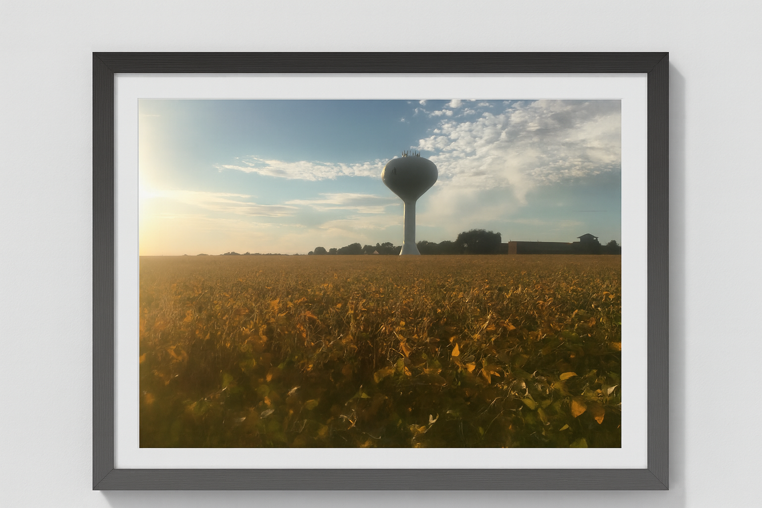 Batavia Bulldogs 113