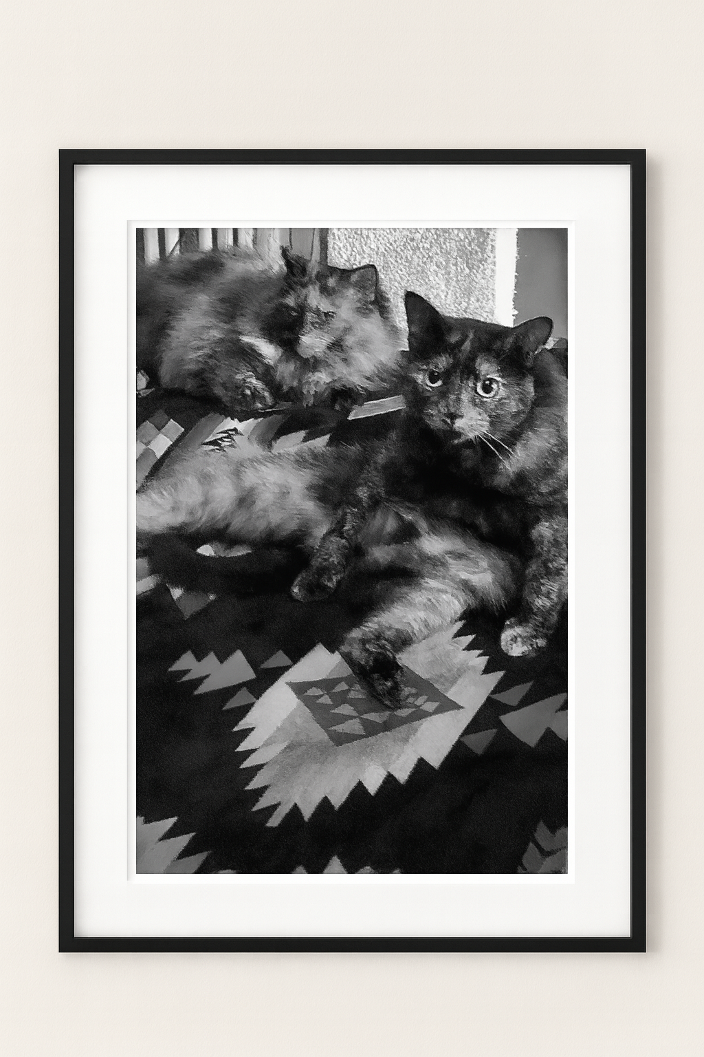 Wednesday & Kitty- 202