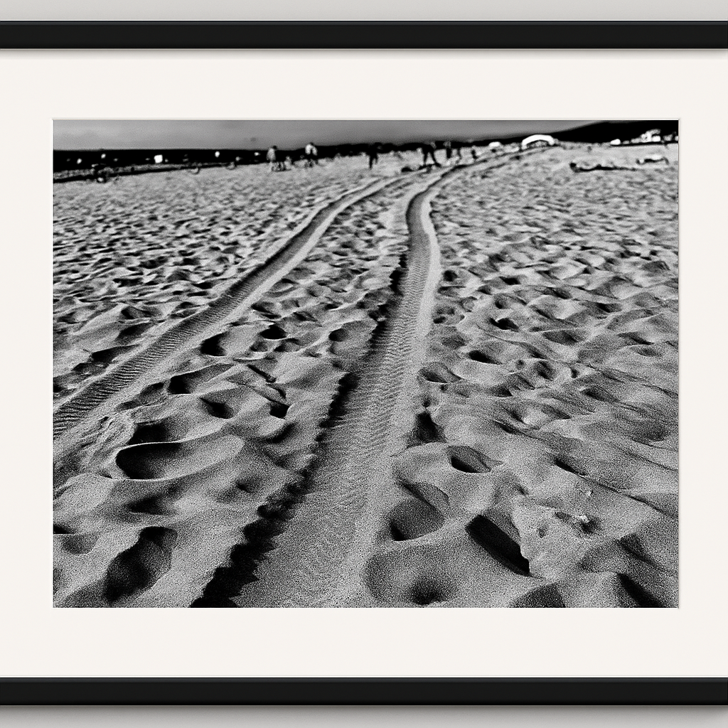 Michigan dunes  - 161