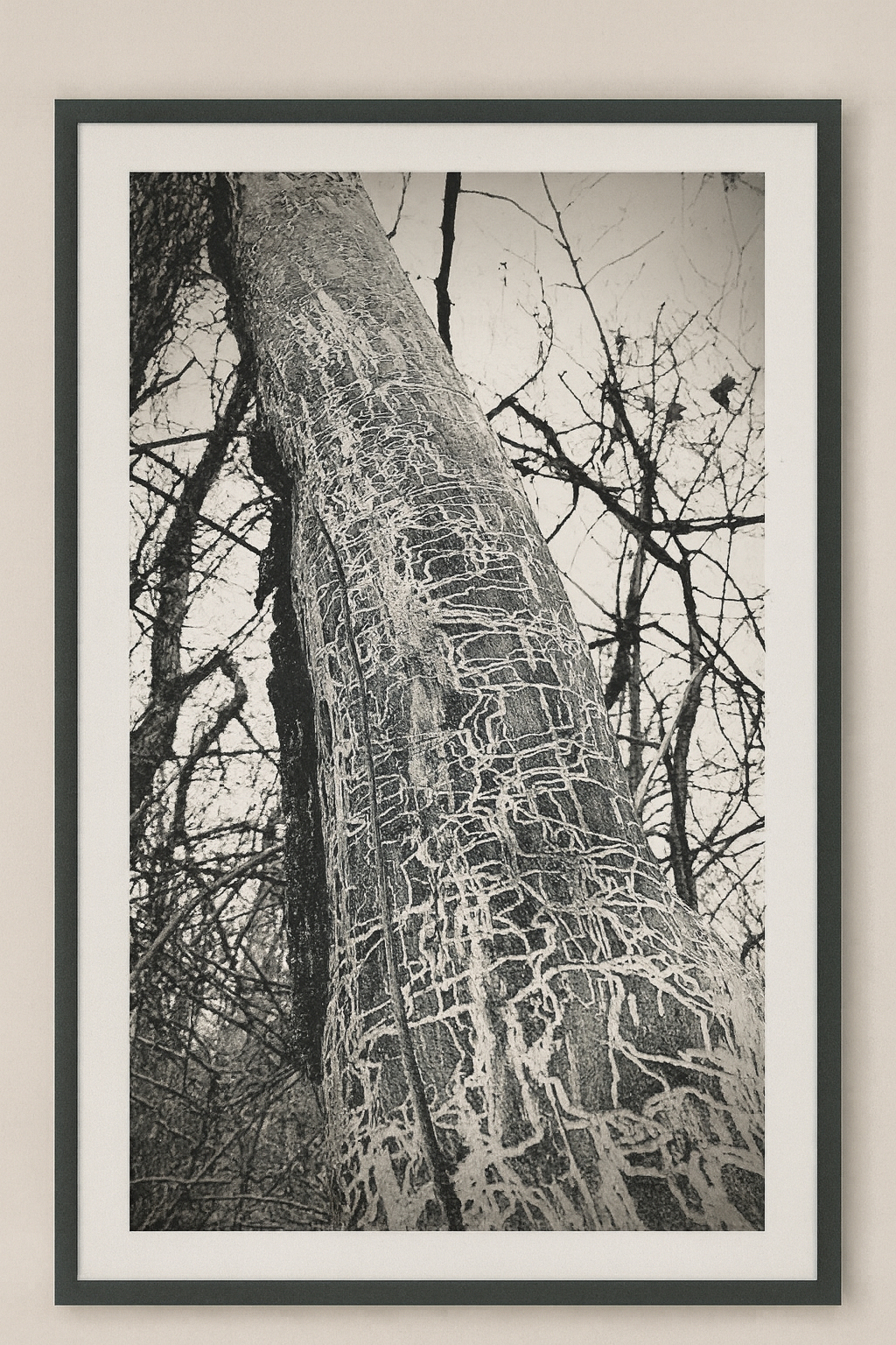 A Bug’s Life 🐛 🐞 🐜 